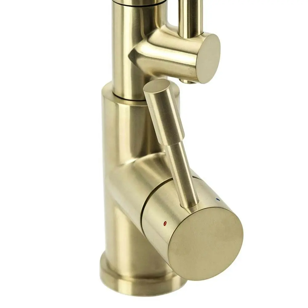 Swedia Signatur Stainless Steel Kitchen Mixer Pull-out Dual Flow Hose - Brushed Brass