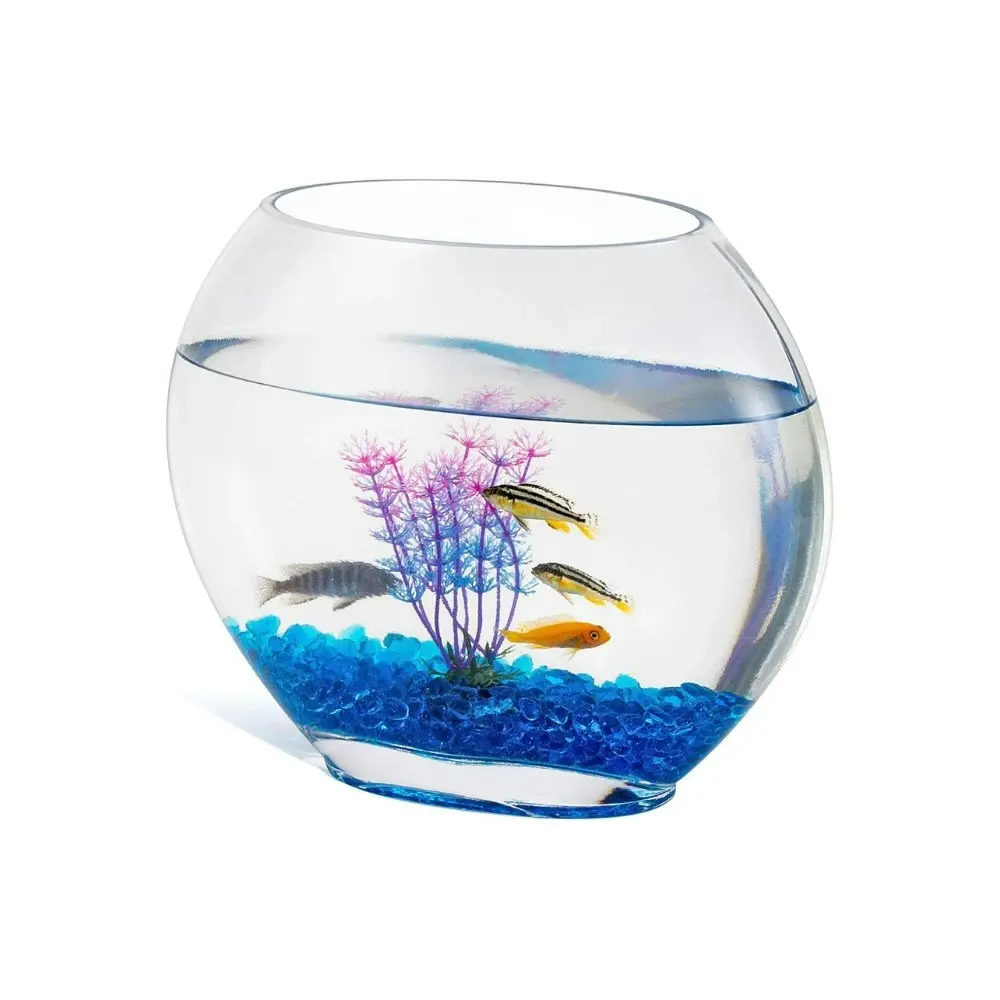 Hygger 2. 8 Litre Mini Glass Oblate Fish Bowl Kit