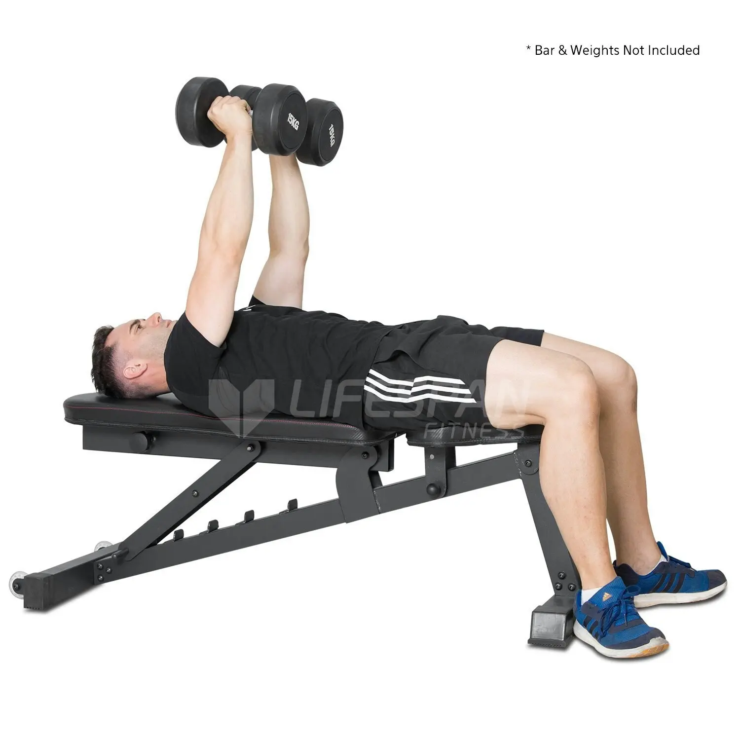 Cortex Standalone Exercise Bench