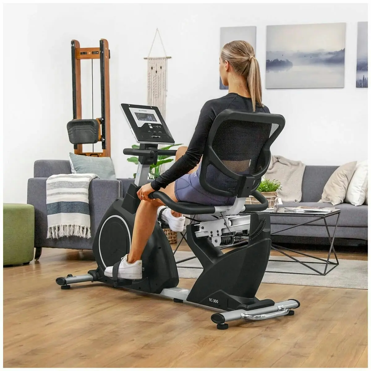 Lifespan Fitness RC-300 Recumbent Bike