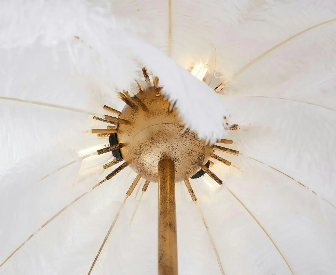 Demi Feathered Floor Lamp