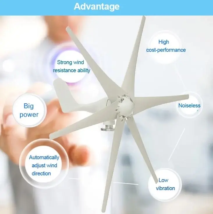 800W Peak 10 Blades 12V/24V Horizontal Wind Turbine Generator Residential Home Wind Power Generator - 24V