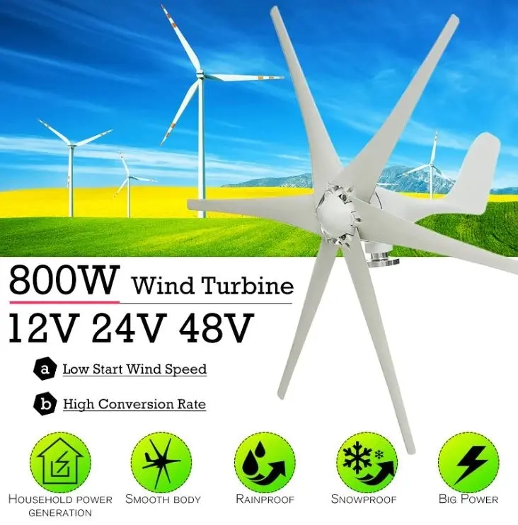 800W Peak 10 Blades 12V/24V Horizontal Wind Turbine Generator Residential Home Wind Power Generator - 24V