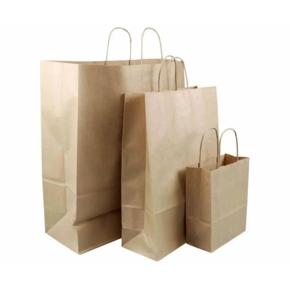 Medium| 50 Pack Paper Carry Bags (Brown)