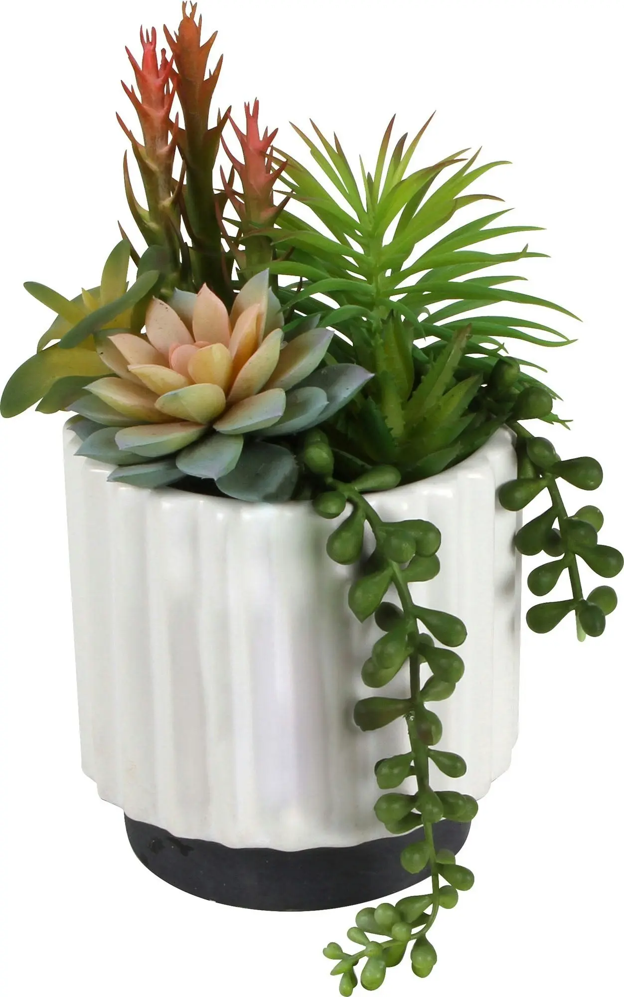 Sensi Succulents In Hex Pot 21cm 2 Asst