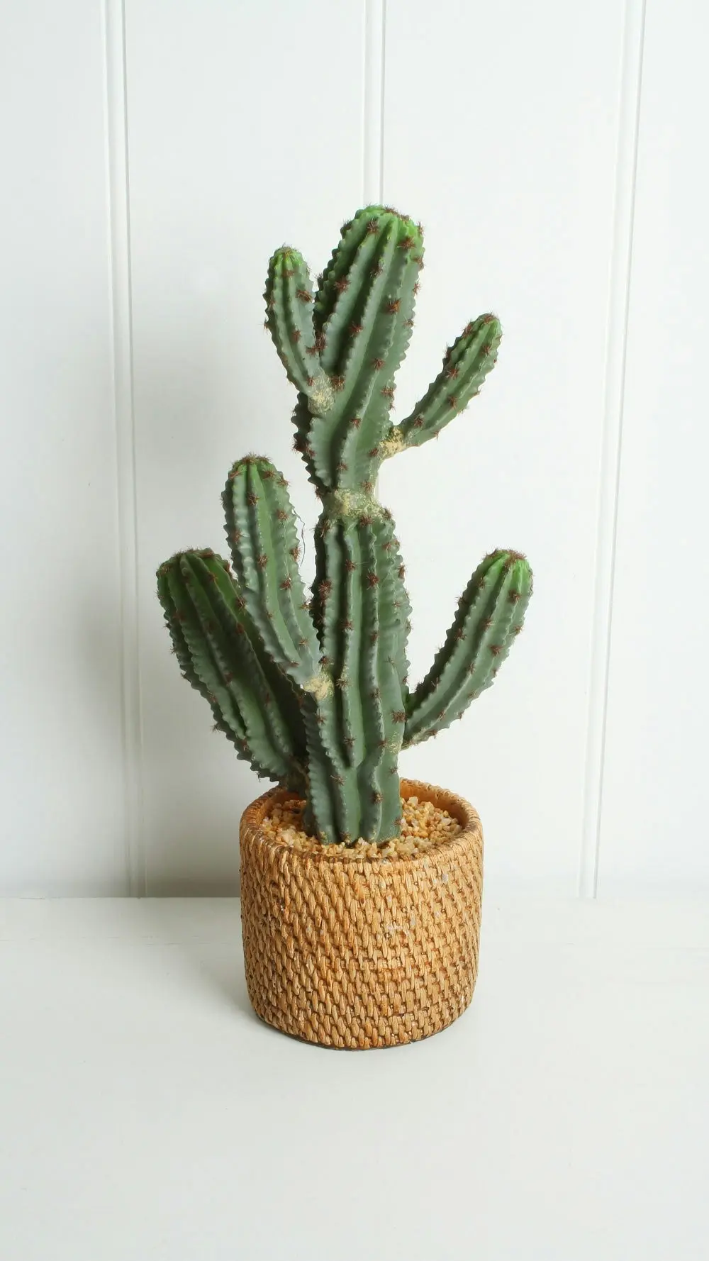 Cereus In Ceramic Weave Pot 47cm