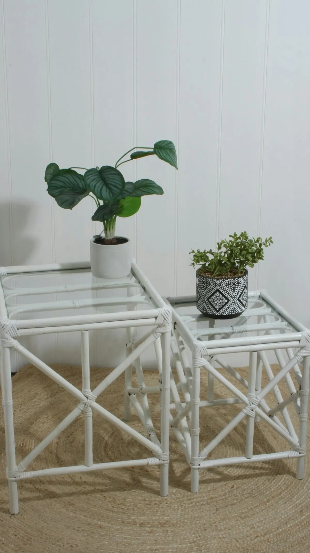 Faux Variegated Calathea in Concrete Pot 56cm