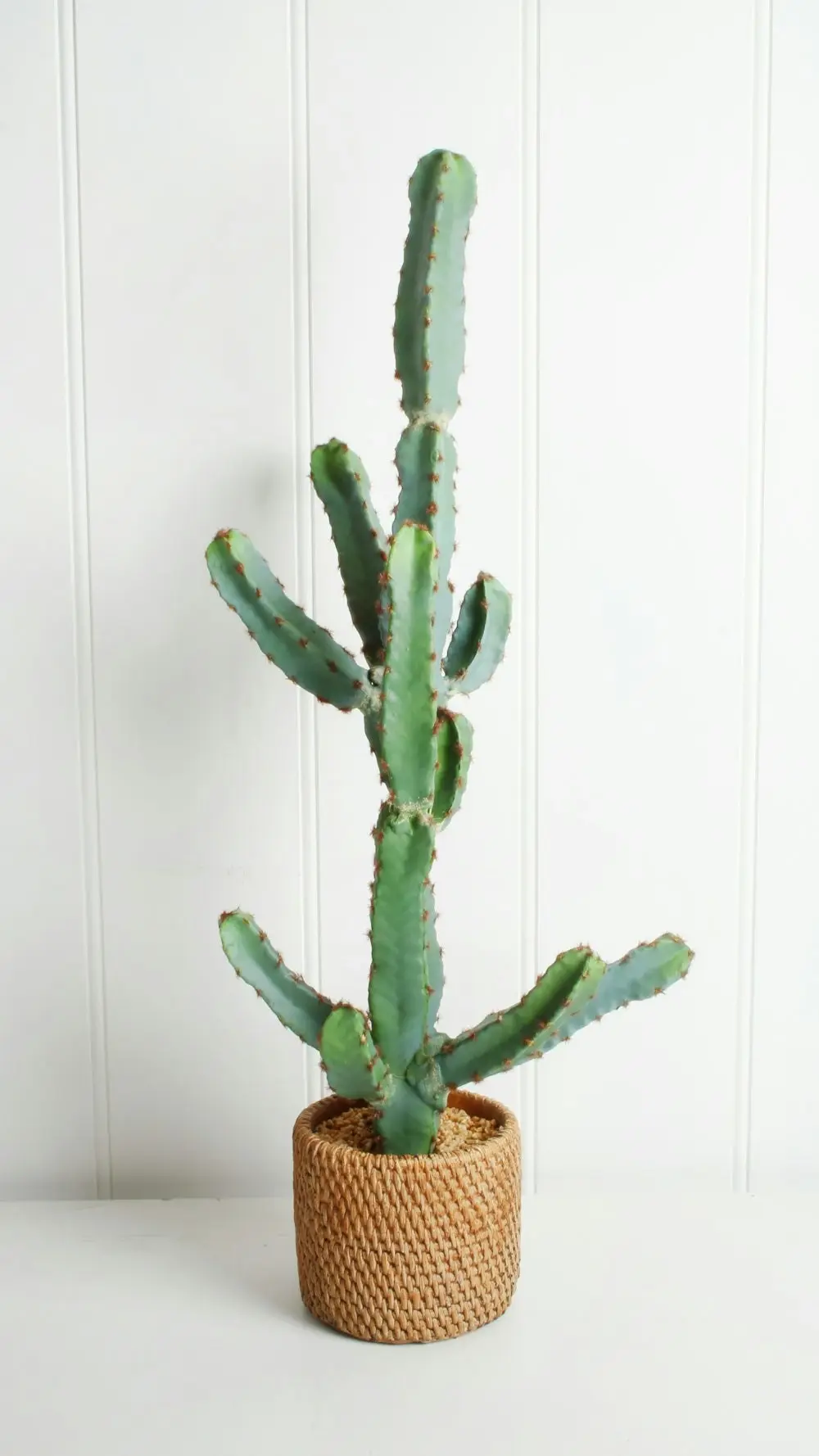 Cereus Cactus In Ceramic Weave Pot 72cm