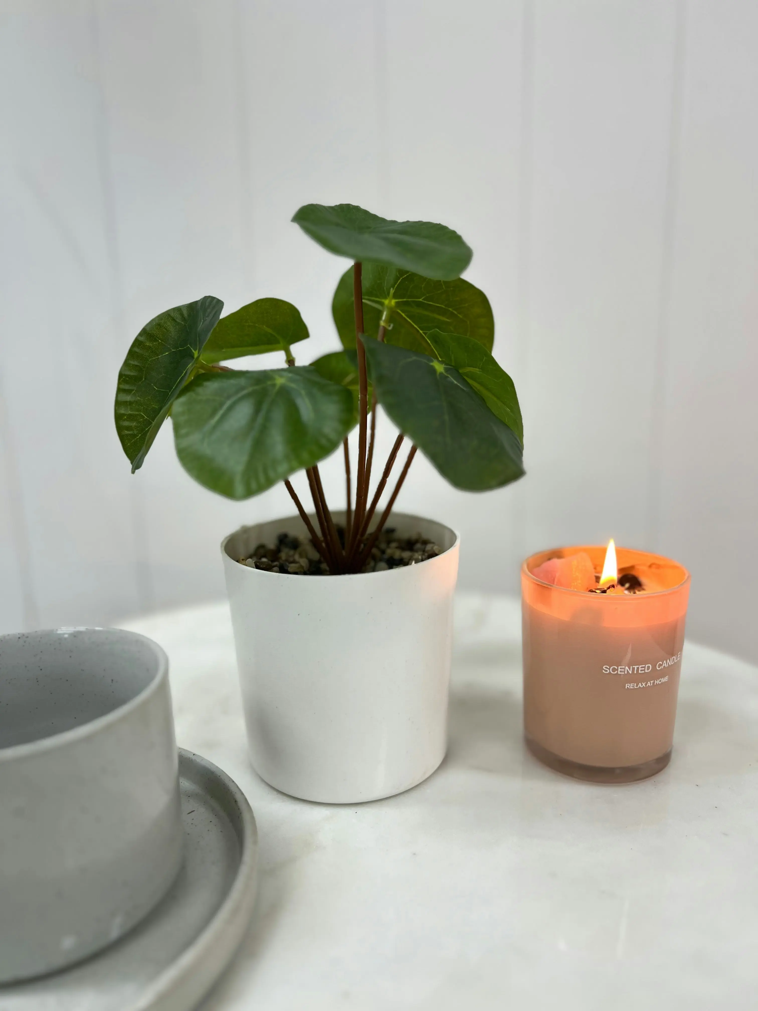 Faux Chinese Money Plant in White Pot 22 cm