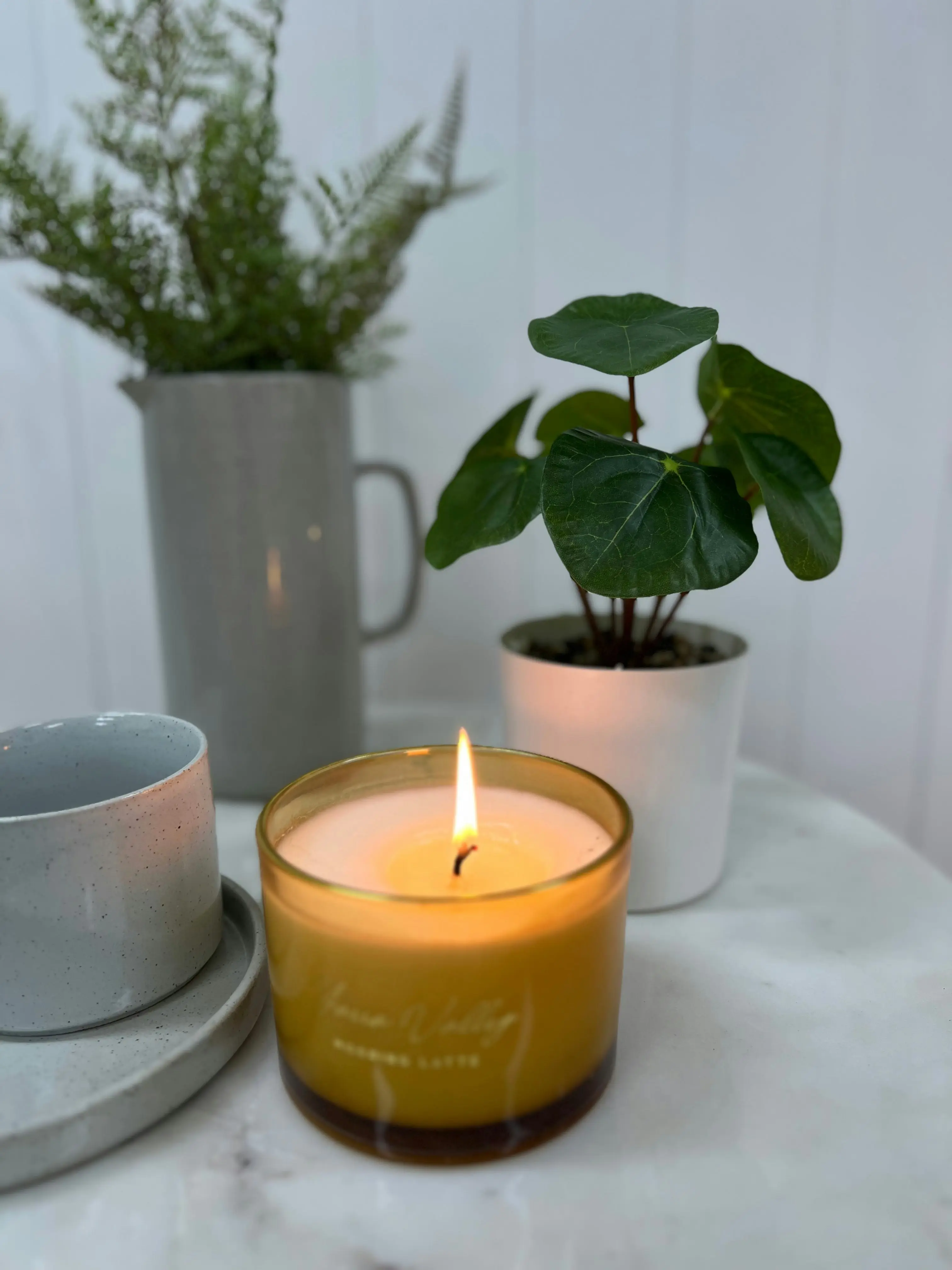 Faux Chinese Money Plant in White Pot 22 cm