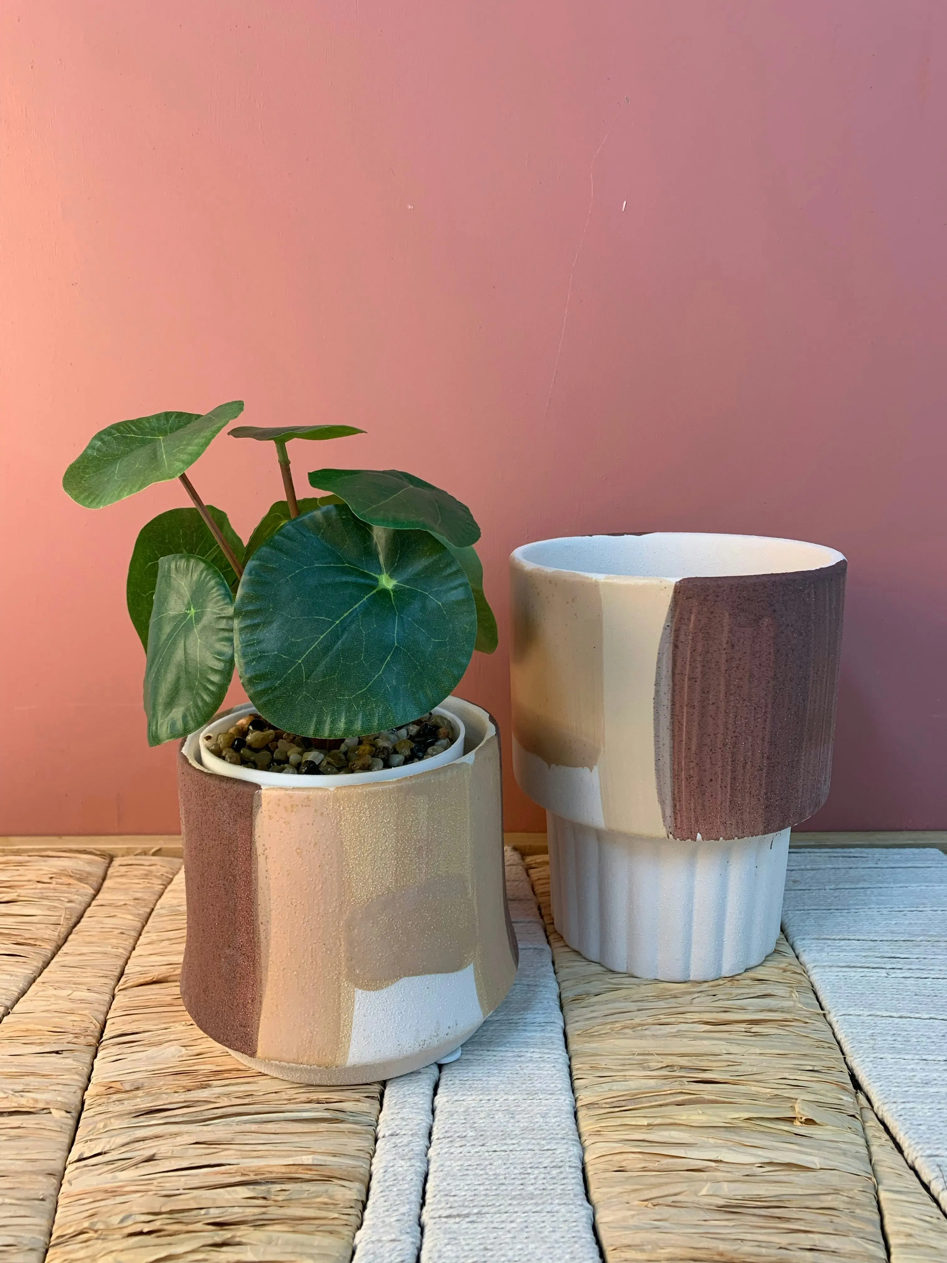 Faux Chinese Money Plant in White Pot 22 cm