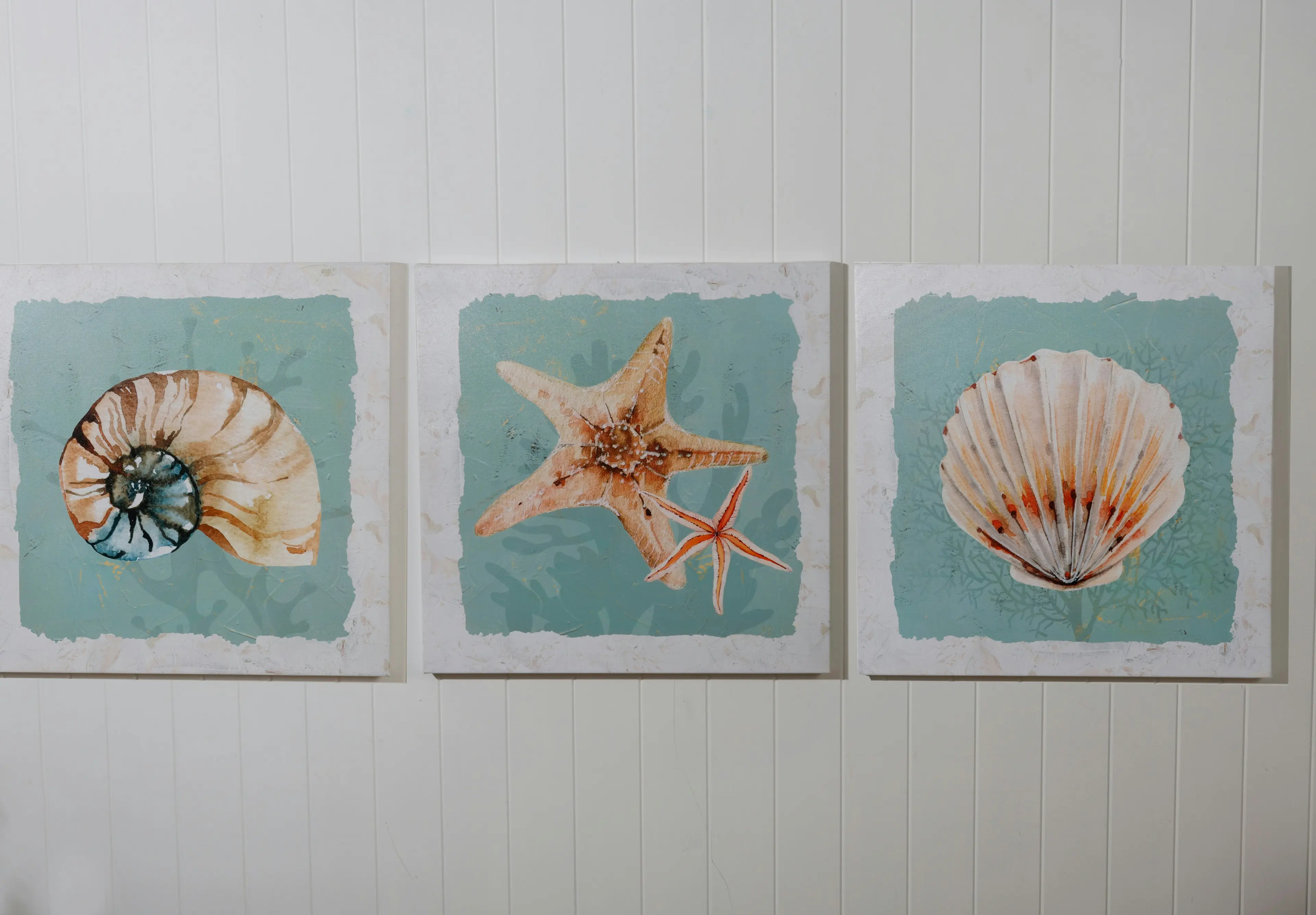 Hervey Set Of 3 Canvas Shell Prints 60 x 60 x 3.5cm