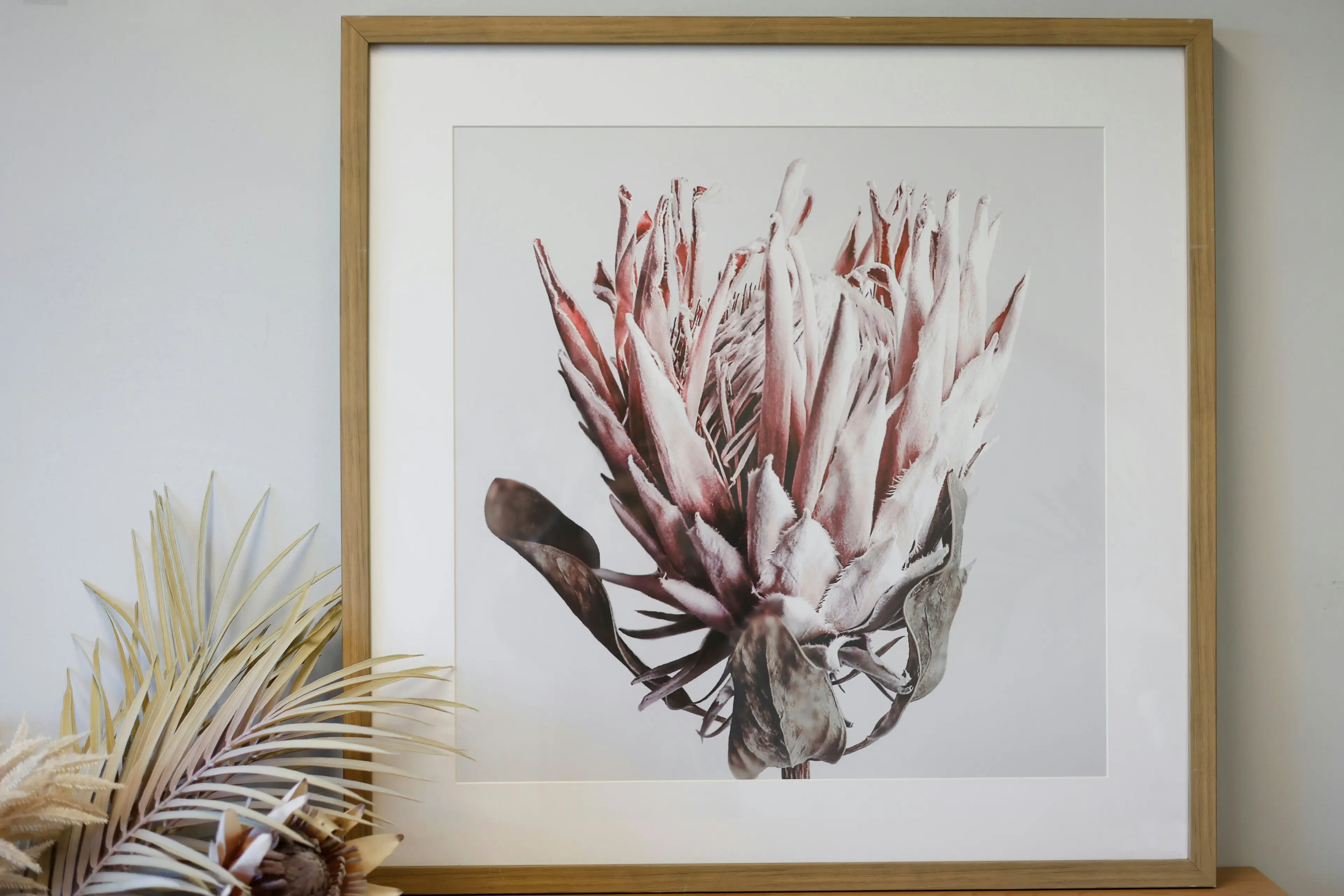 Madie Dried Protea Canvas In Timber Frme 80 x 80 x 3.3cm