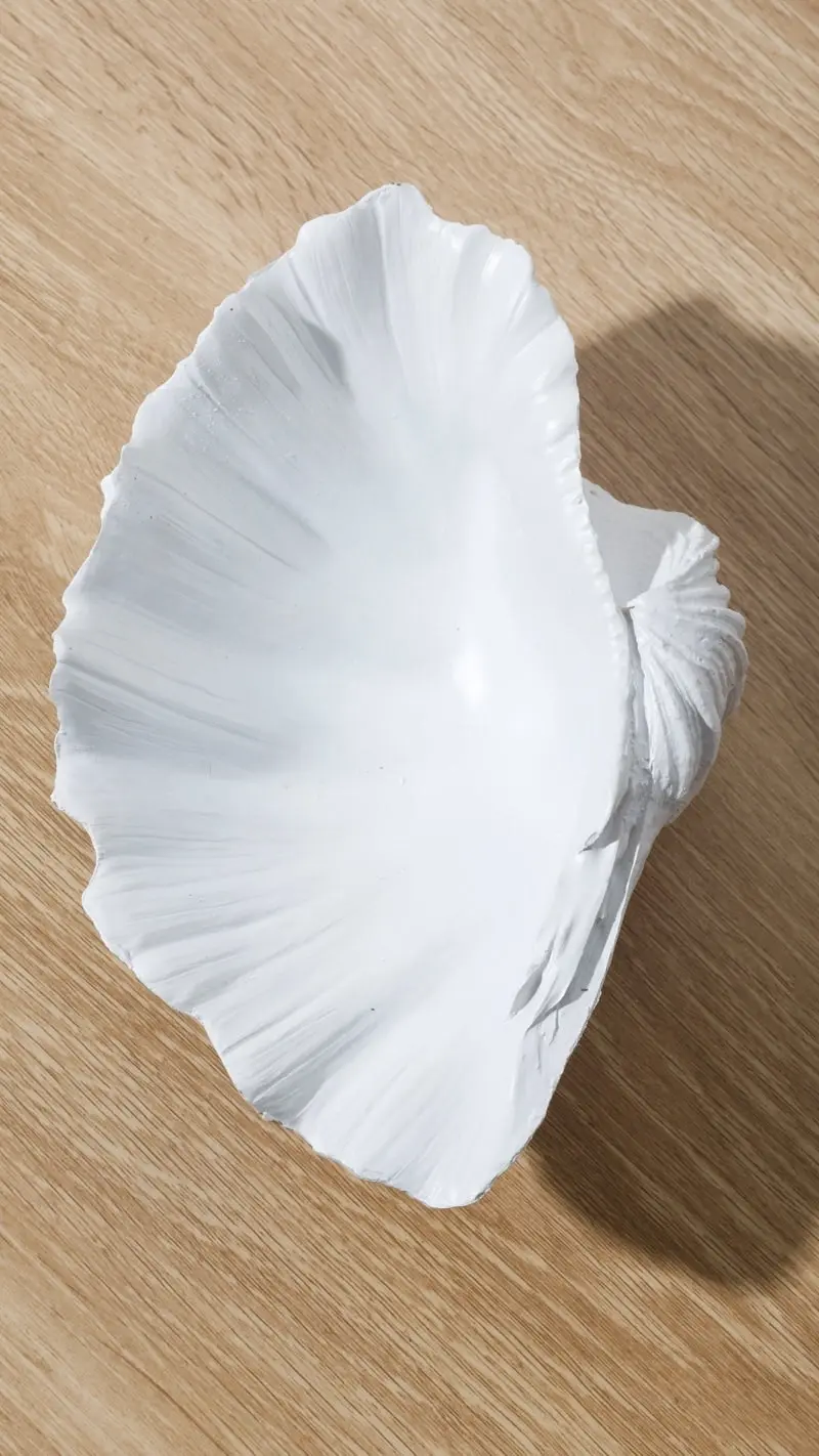 Resin Clam Shell White 25 x 15 x 8cm