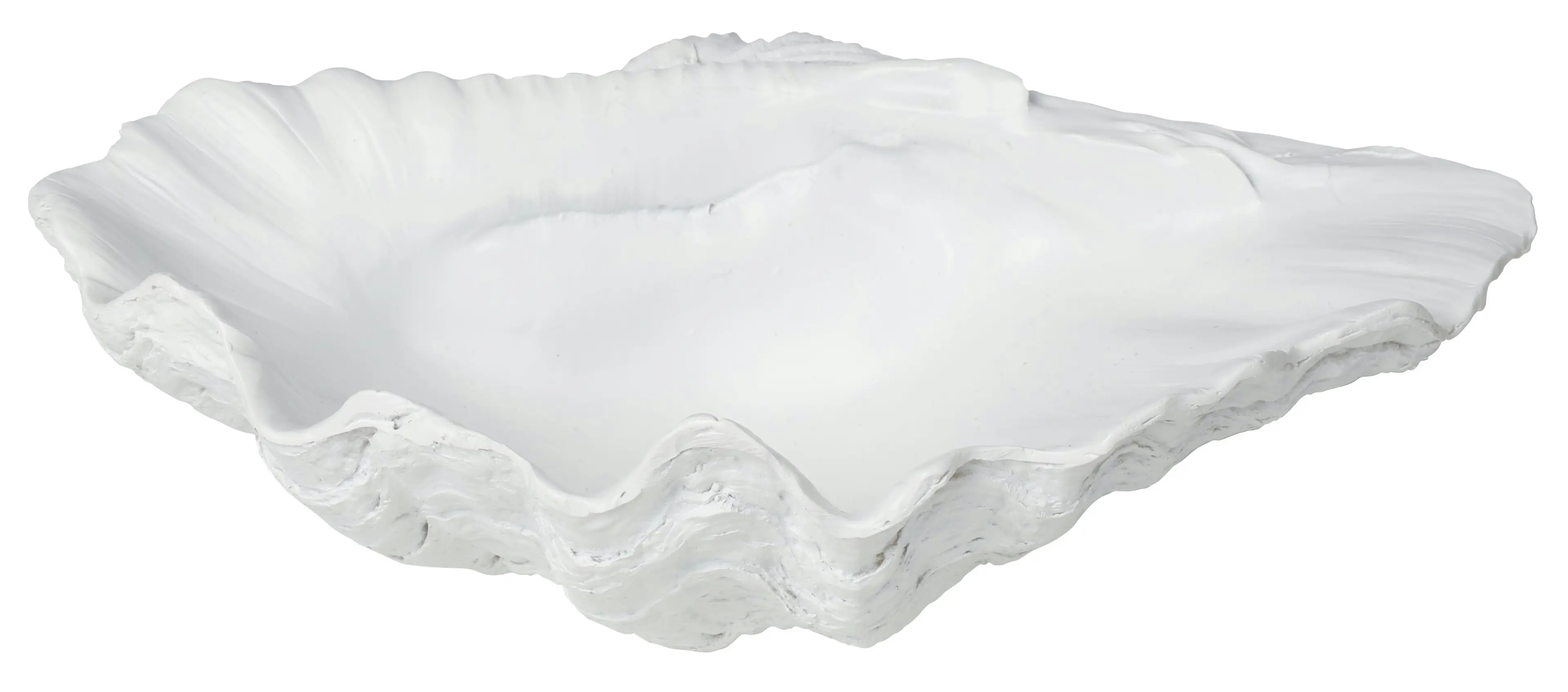 Resin Clam Shell White 25 x 15 x 8cm