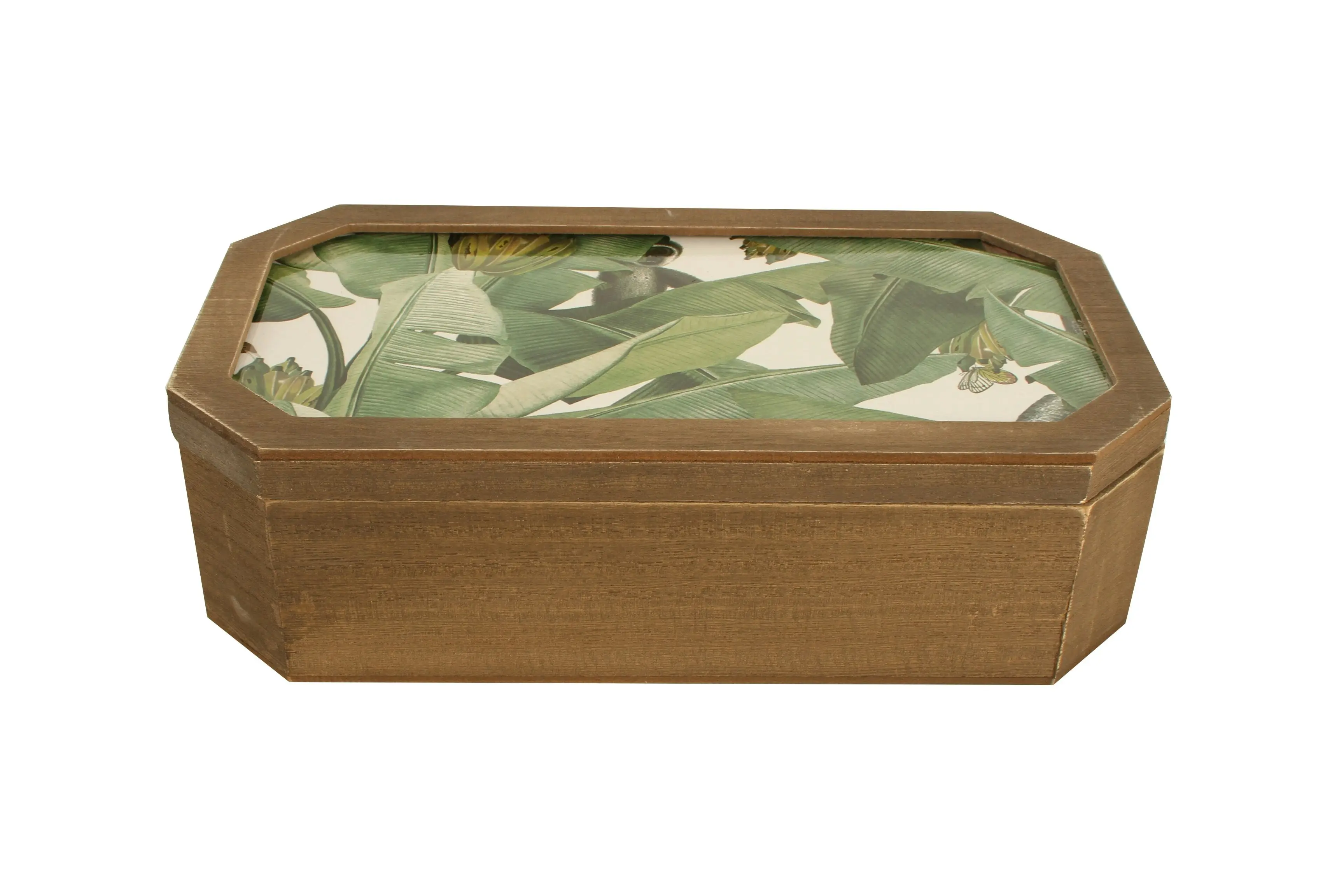 Lucaz Jungle Set Of 2 Trinket Box