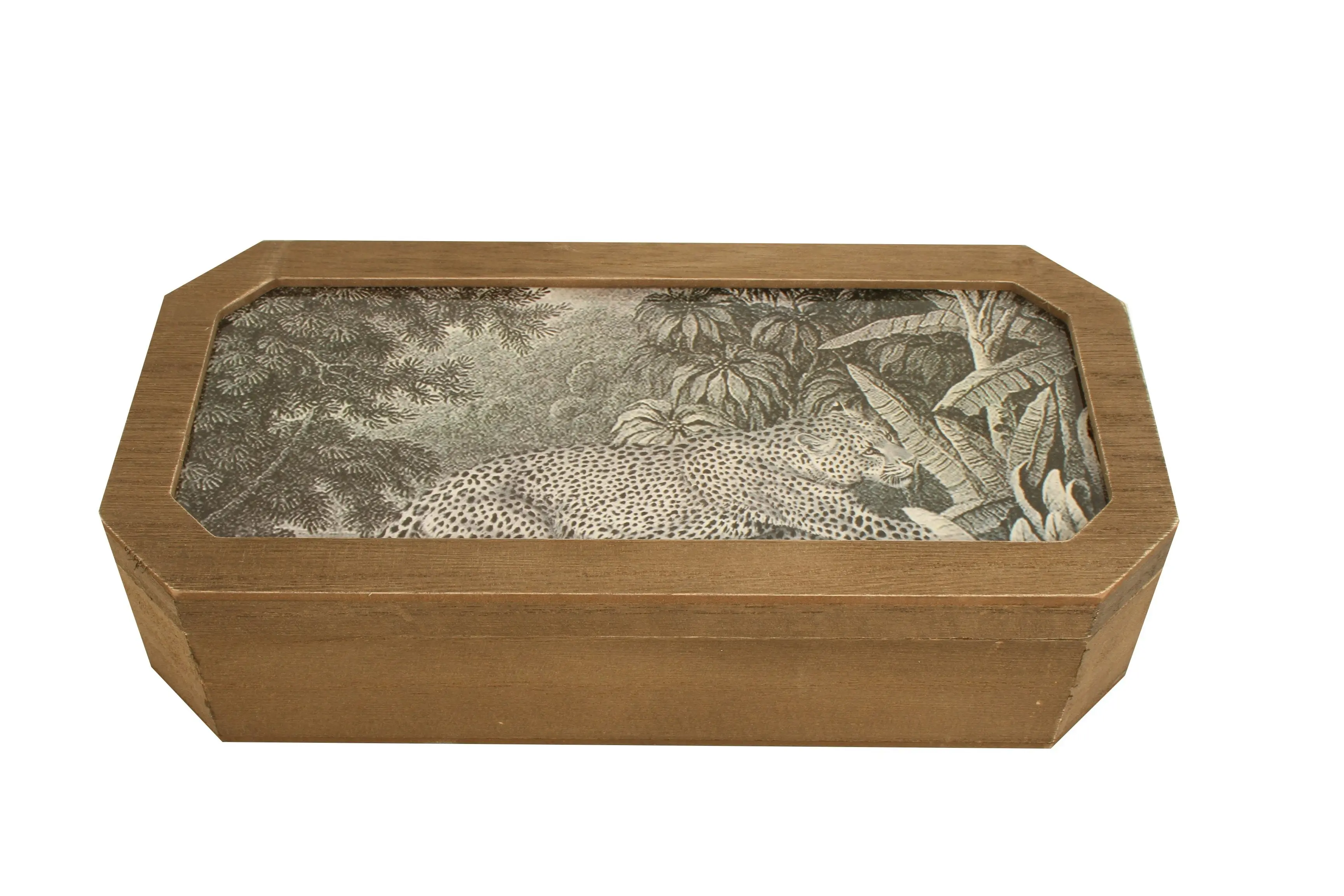 Lucaz Jungle Set Of 2 Trinket Box