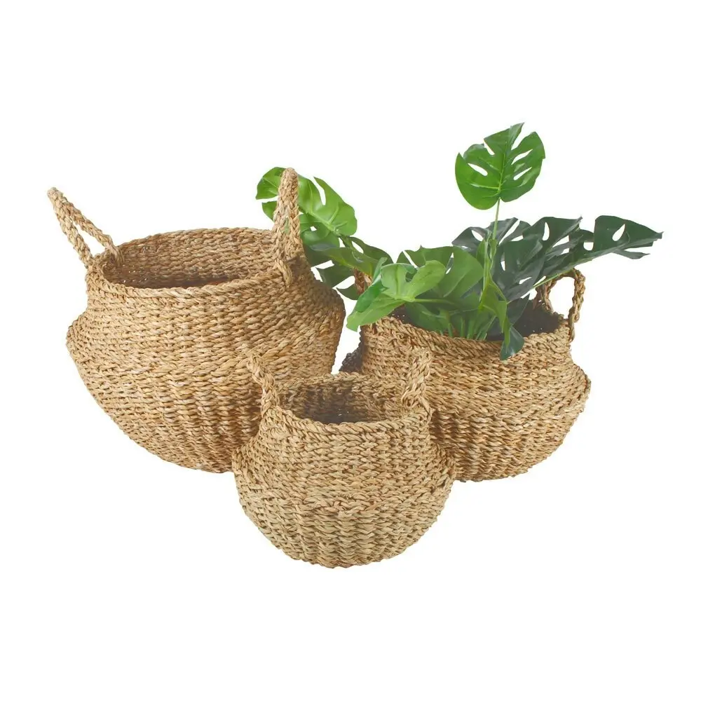 3pc Maine & Crawford Eddi 25/35/45cm Typha Belly Basket Organiser Set Natural