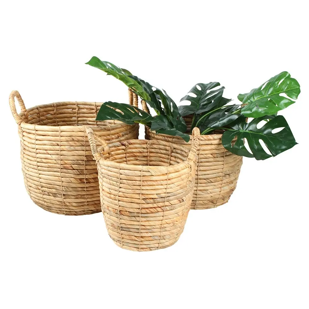 3pc Maine & Crawford Toni 25/29/34cm Water Hyacinth Basket Organiser Set Natural