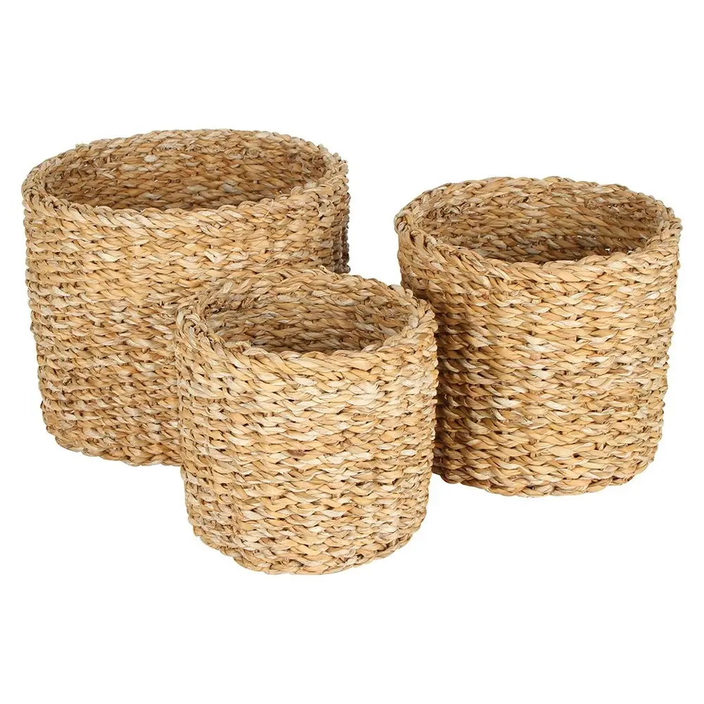 3pc Maine & Crawford Sunshine 17/18/20cm Seagrass Round Mini Cylinder Storage