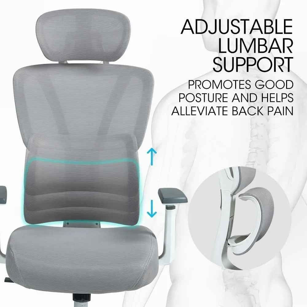 Fortia Ergonomic Office Desk Chair, Coolmesh Fabric, Adjustable Lumbar Support, Headrest, Armrest and Recline, White Mesh/Grey Frame