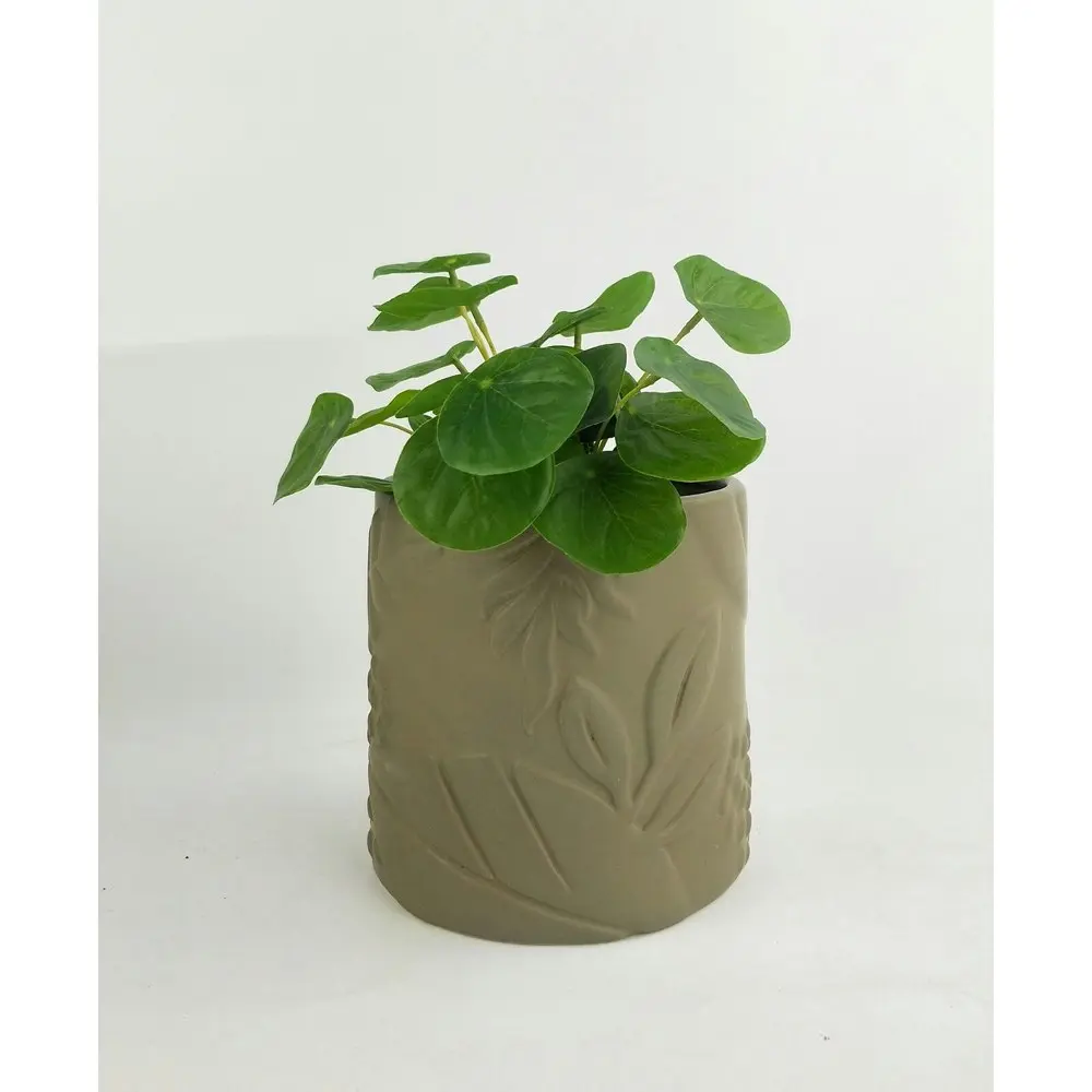 4x Urban Caprice Foliage 14cm Ceramic Planter Flower/Plant Pot Decor Medium Sage