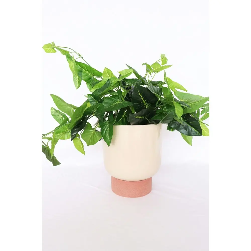 Urban Prim Tall 24cm Ceramic Planter w/ Saucer Plant Pot Large White/Terracotta