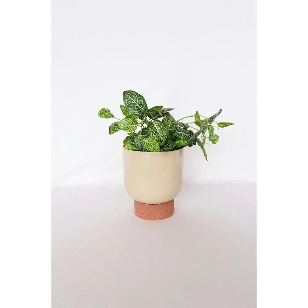 2x Urban Prim Tall 19cm Ceramic Planter w/ Saucer Plant Pot Medium White/Terra