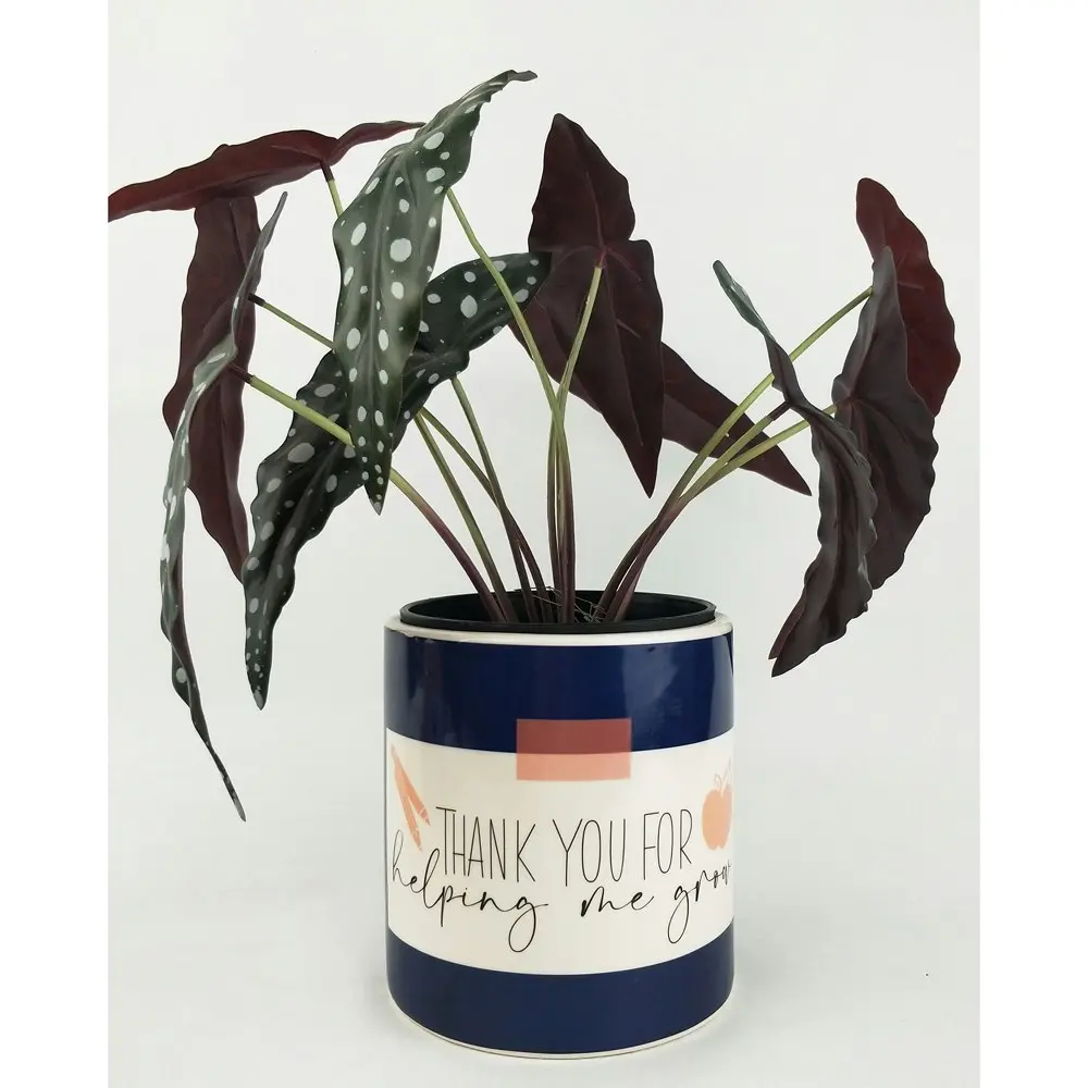 2x Urban Thank You For Helping Me Grow 16cm Planter Flower Pot Med Navy/Pink