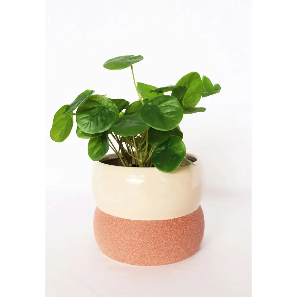 2x Urban Brynn Squat 13cm Ceramic Planter Flower/Plant Pot Small White/Terra