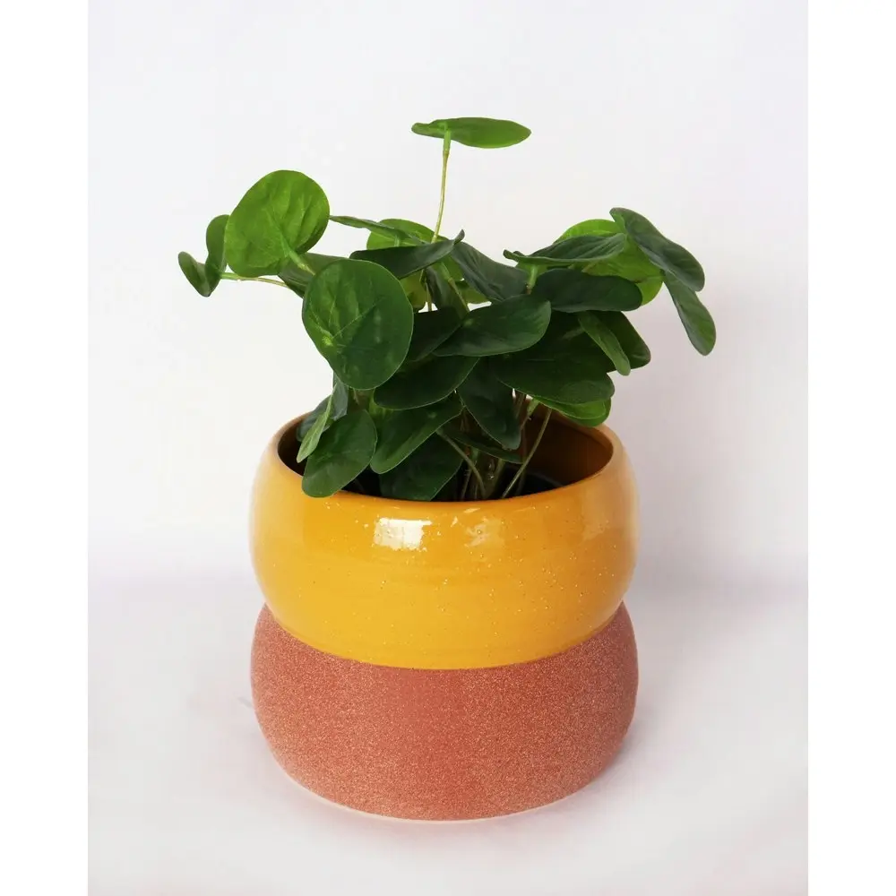 2x Urban Brynn Squat 13cm Ceramic Planter Flower/Plant Pot Small Mustard/Terra