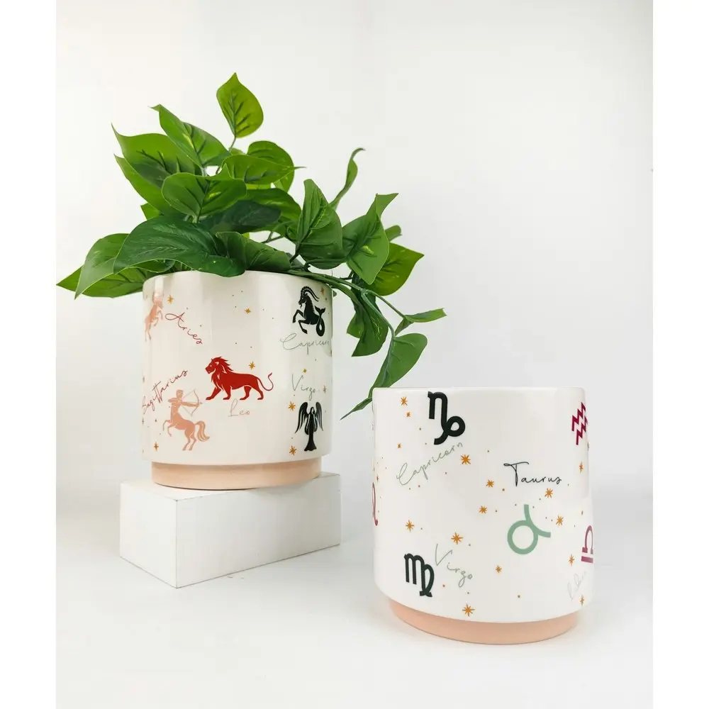 2x Urban Zodiac 13cm Ceramic Planter Colourful Flower/Plant Pot Desk Decor Small