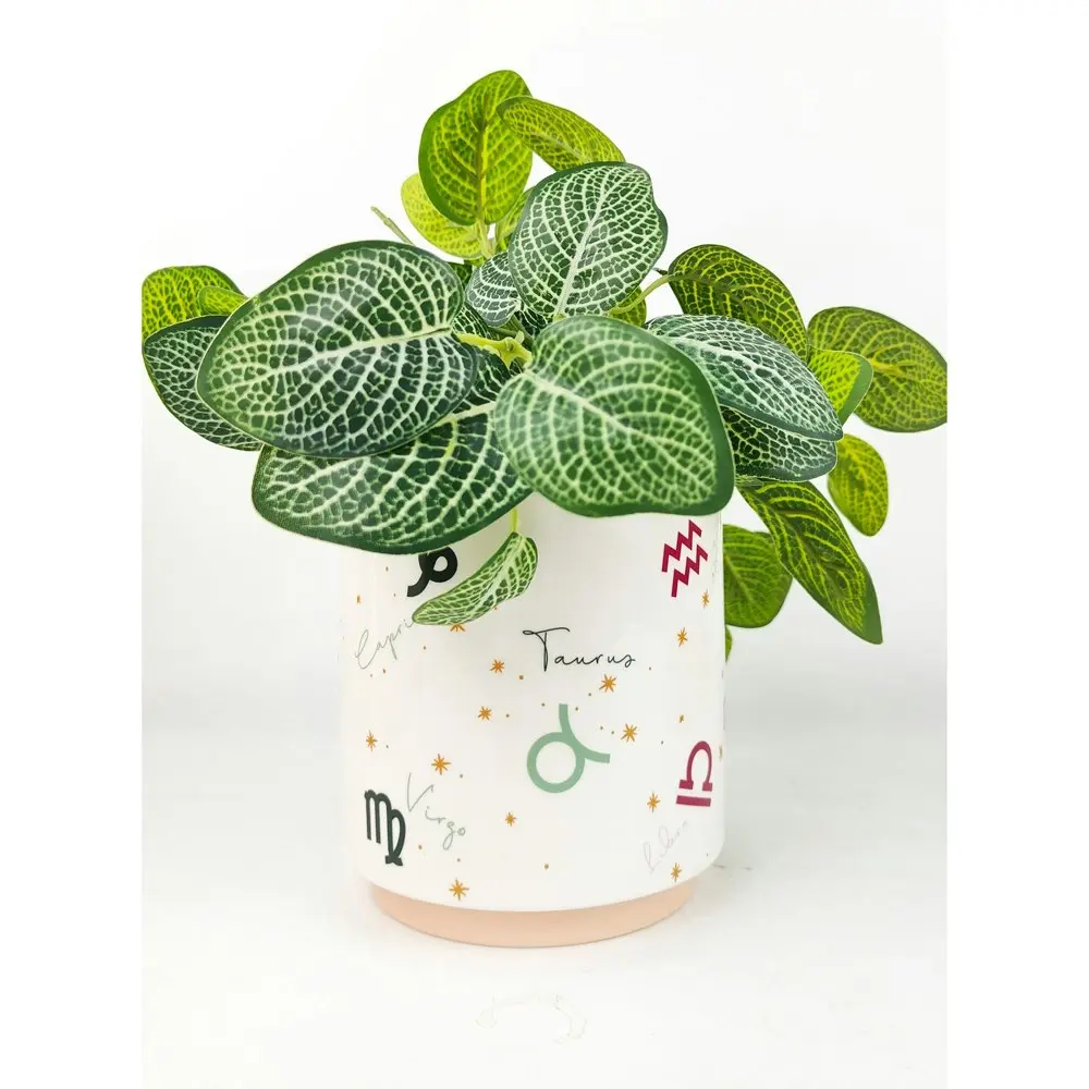 2x Urban Zodiac 13cm Ceramic Planter Colourful Flower/Plant Pot Desk Decor Small