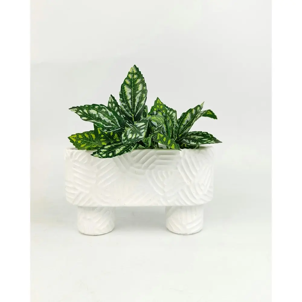 4x Urban Enola 20cm Concrete Long Planter Flower/Plant Pot w/ Legs Decor White