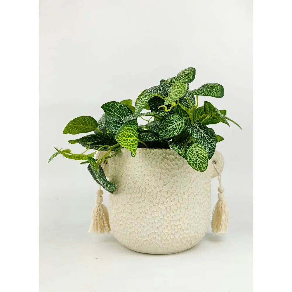 2x Urban Kinsley 16cm Concrete Planter Flower/Plant Pot Home Decor Medium Cream