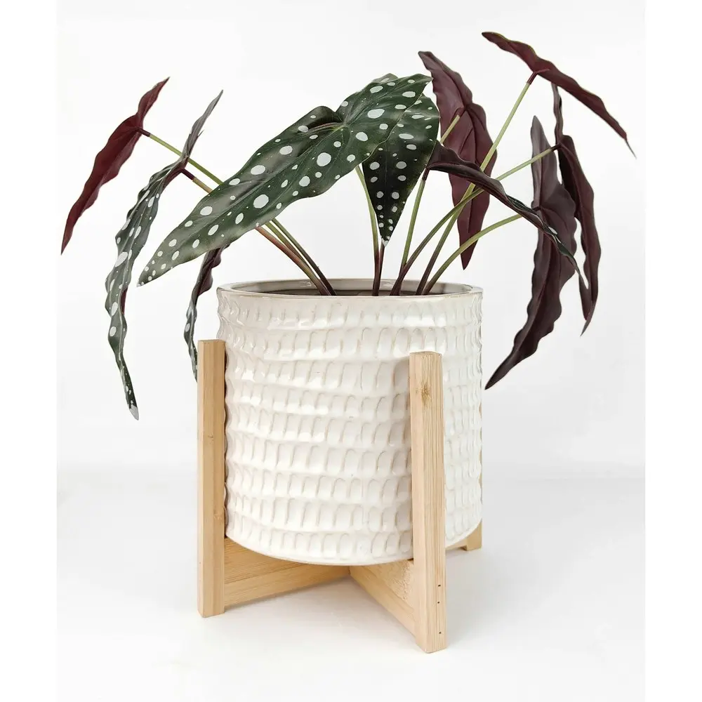 Urban 16.7cm Everly Ceramic Planter on Legs Garden Plant Pot MED White/Natural