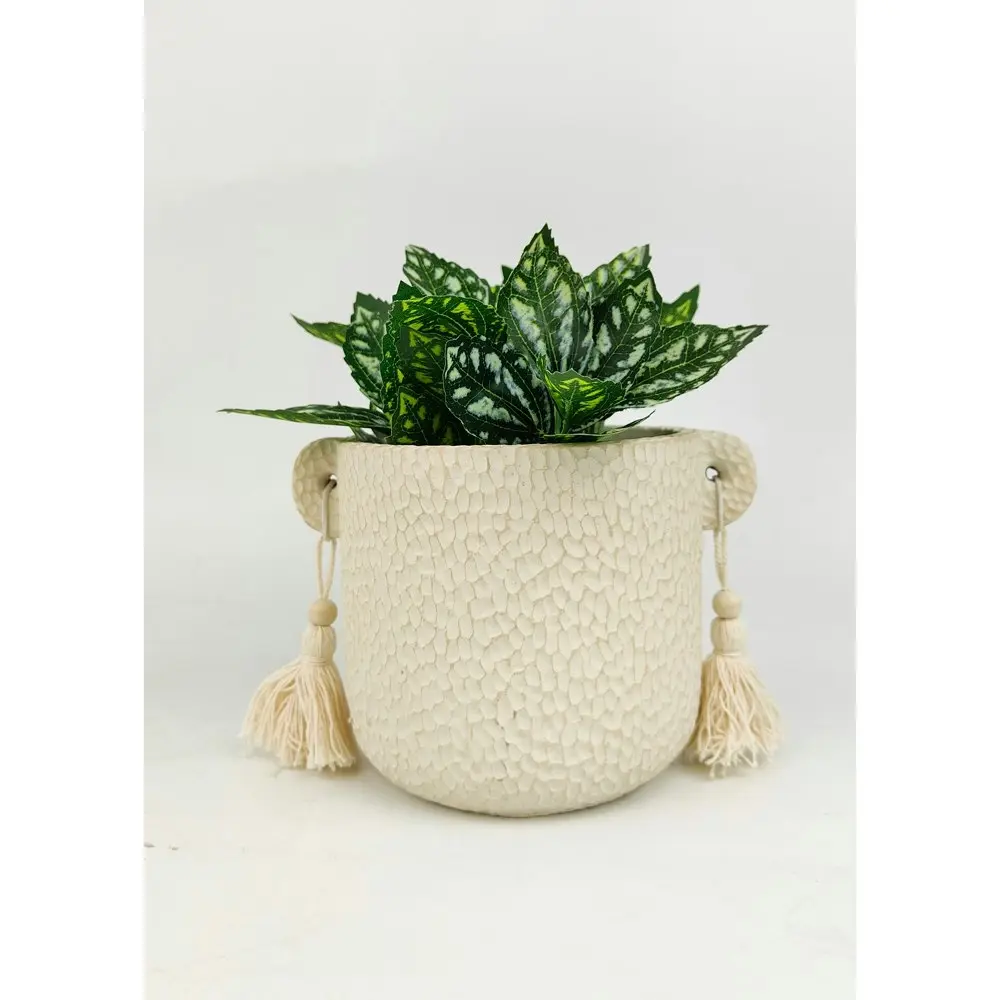 2x Urban Kinsley 13cm Concrete Planter Flower/Plant Pot Home Decor Small Cream