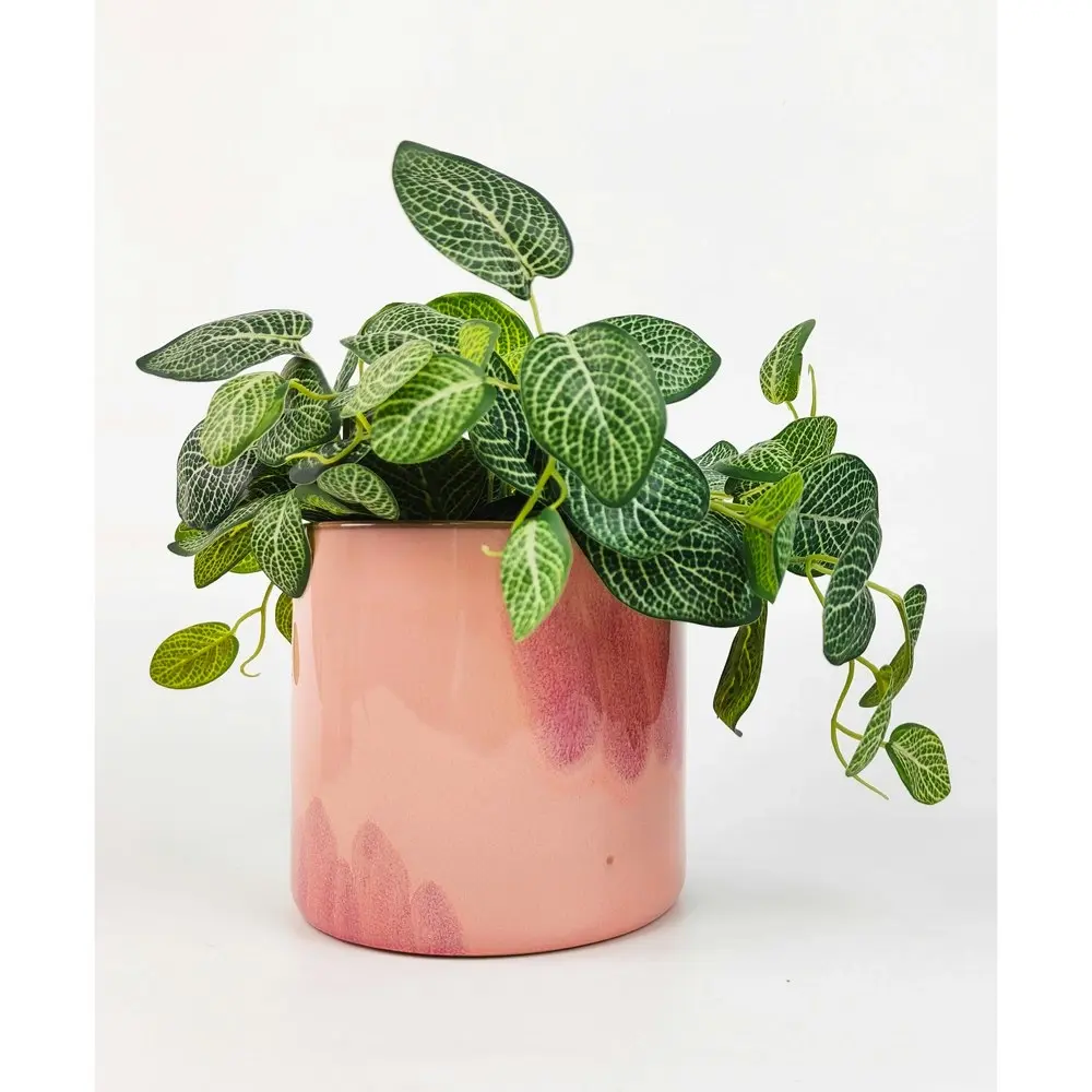 Urban 15cm Sofia Ceramic Planter Home/Garden Decor Plant Pot Large Pink/Storm