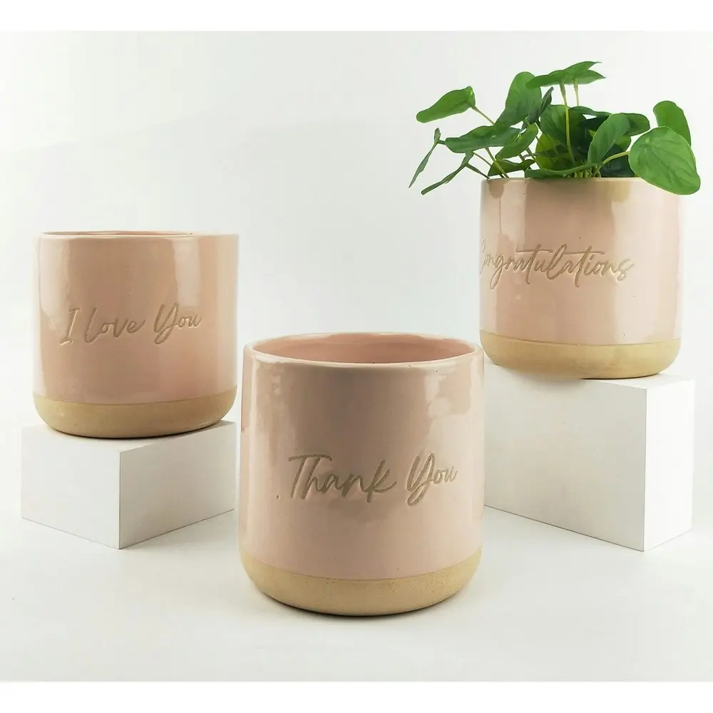 Urban I Love You 13cm Ceramic Planter Home/Outdoor Garden Plant Pot Pink/Sand