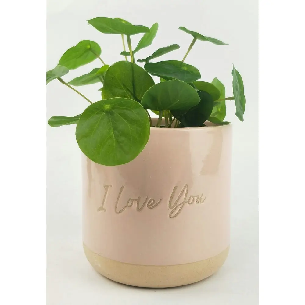 Urban I Love You 13cm Ceramic Planter Home/Outdoor Garden Plant Pot Pink/Sand