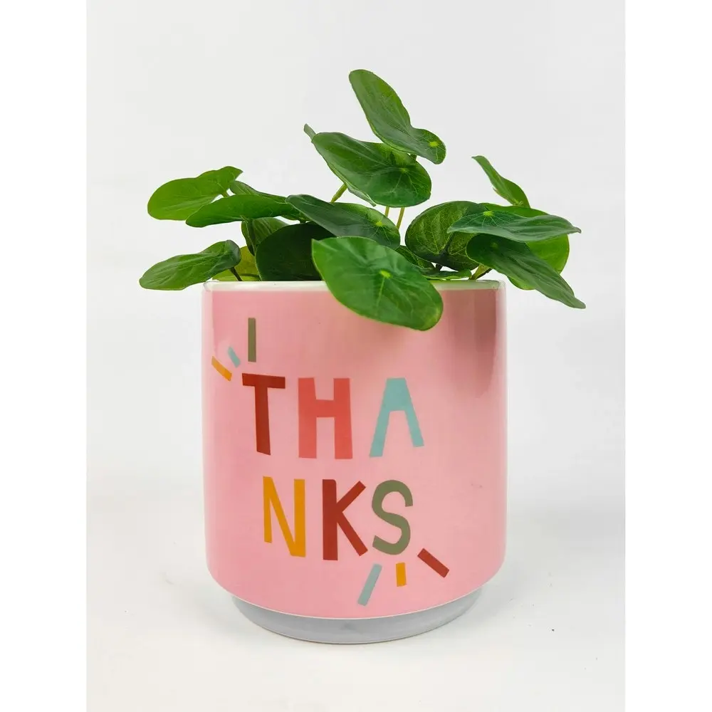 Urban 13cm Funky Quote Thanks Ceramic Planter Garden Decor Plant/Flower Pot Pink