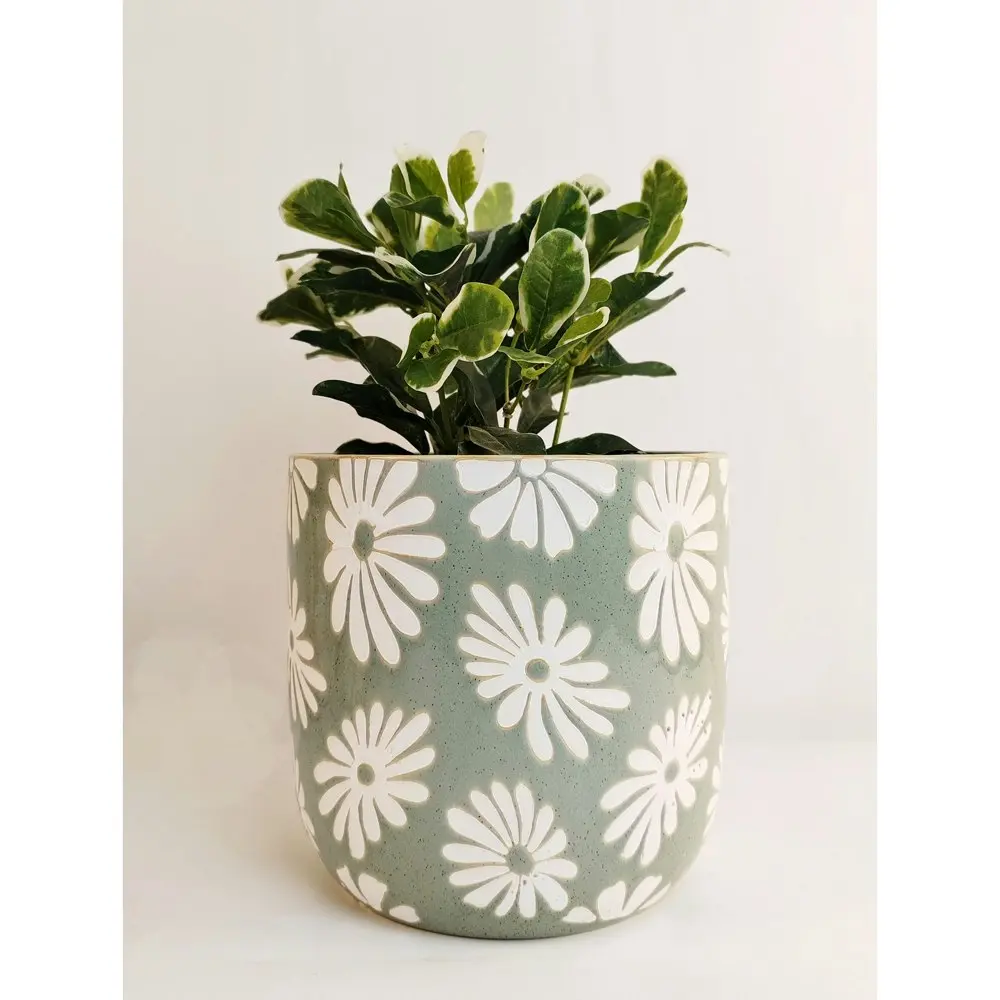 Urban 16cm Ceramic Rylie Floral Planter Plant/Flower Pot Home/Garden Decor Sage