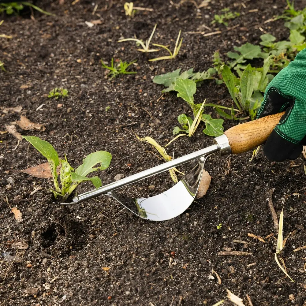 Cyclone Hand Weeder Stainless Steel Outdoor Home Garden Maintenance/Care