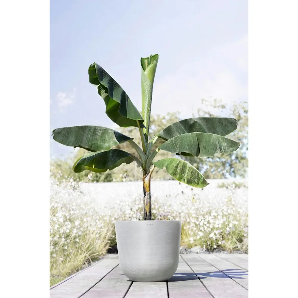 Ecopots Oslo 45cm Home Indoor/Outdoor Durable Garden Plant Pot White Grey