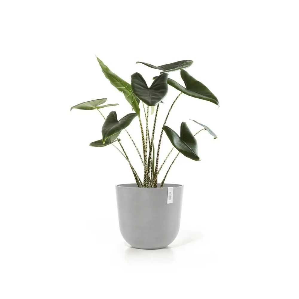 Ecopots Oslo 55cm Home Indoor/Outdoor Decor Garden Plant Pot White Grey