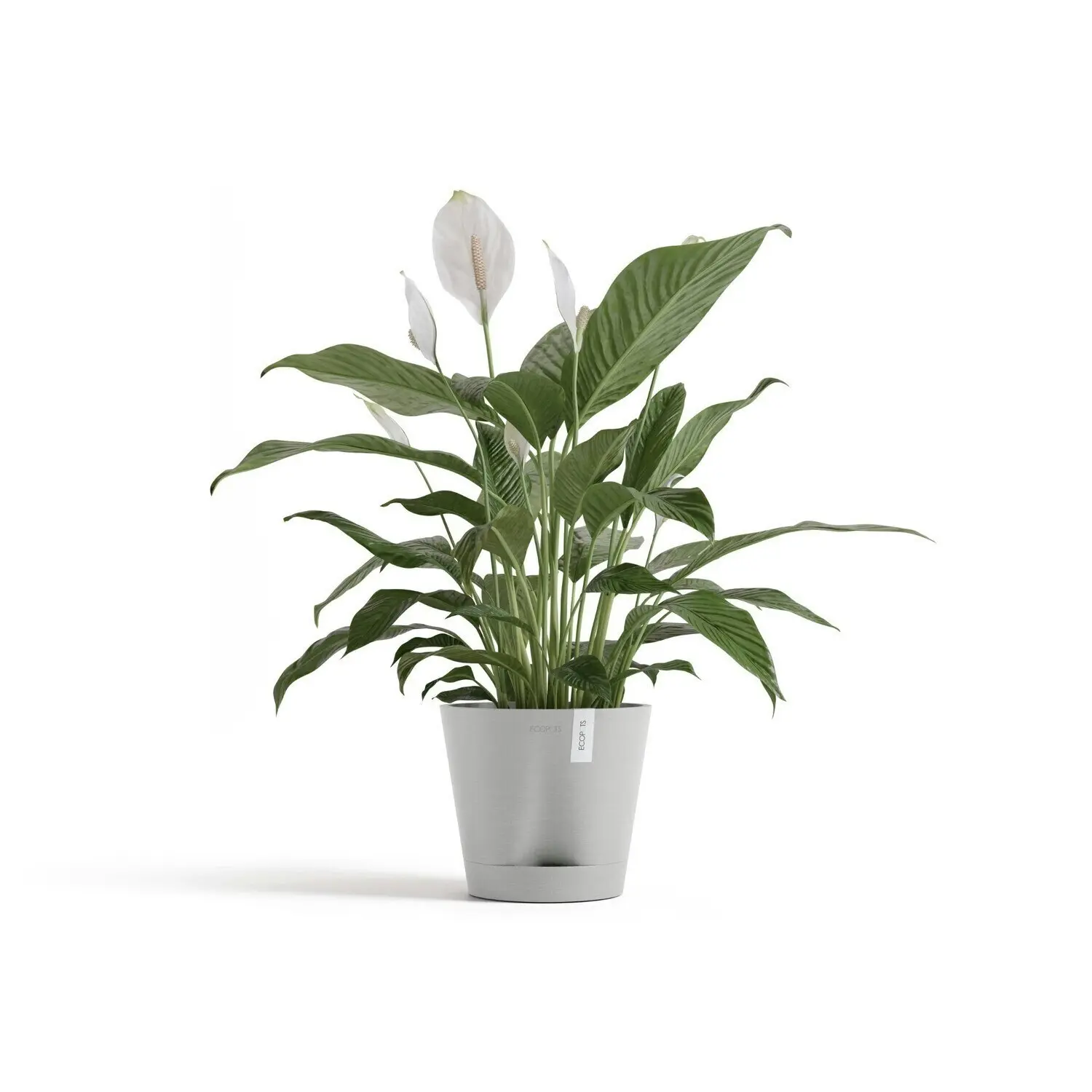 Ecopots Venice 20cm Home Indoor/Outdoor Decor Garden Plant Pot White Grey