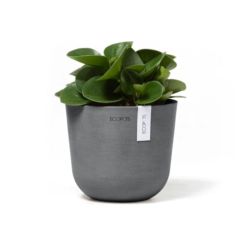 2x Ecopots Oslo Mini 16cm Home Indoor/Outdoor Decor Garden Plant Pot Grey