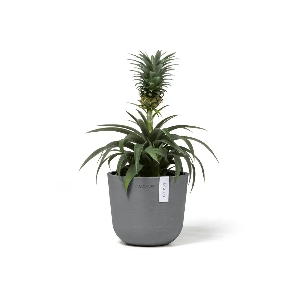 2x Ecopots Oslo Mini 16cm Home Indoor/Outdoor Decor Garden Plant Pot Grey