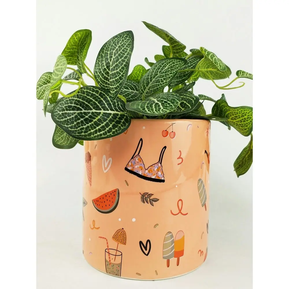 2x Urban Summer Fun 16cm Ceramic Planter Flower/Plant Pot Home Desk Decor Medium