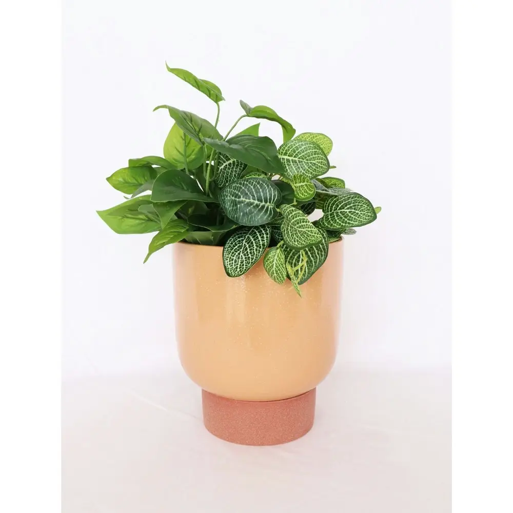 Urban Prim Tall 24cm Ceramic Planter w/ Saucer Plant Pot Large Peach/Terracotta